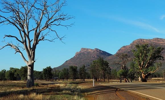 Ikara-Flinders Ranges National Park, South Australia