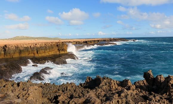 Royal National Park, New South Wales