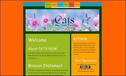 CATS NSW Shows