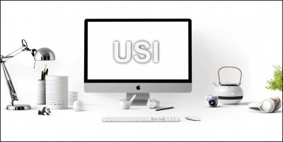 What is a USI?