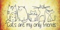 The Unadulterated Cat by Terry Pratchett